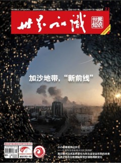 世界知识杂志
