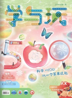 学与玩杂志
