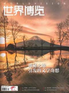 世界博览杂志