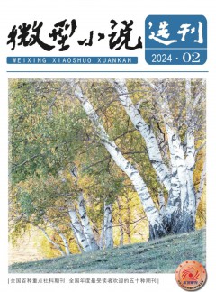 微型小说选刊杂志
