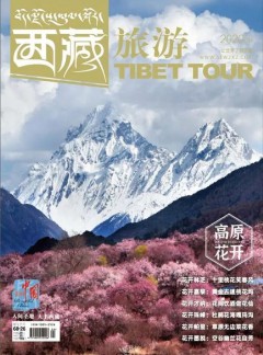 西藏旅游杂志