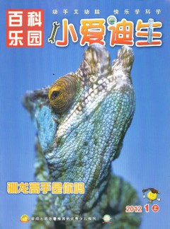 小爱迪生杂志