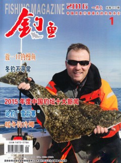 钓鱼