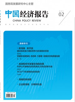 中国经济报告杂志