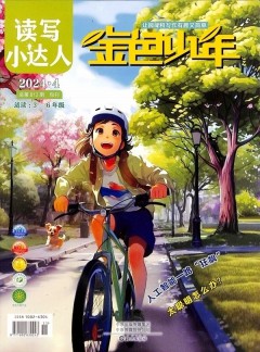 金色少年杂志
