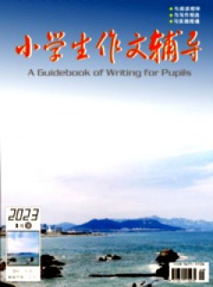 小学生作文辅导·下旬杂志