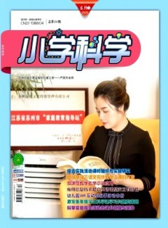 小学科学·教师版
