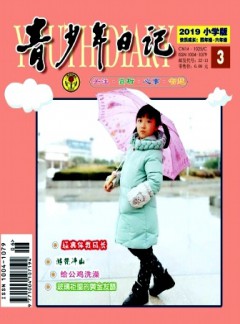 青少年日记·小学版