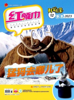 红领巾·探索
