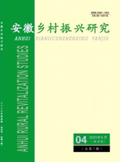 安徽乡村振兴研究