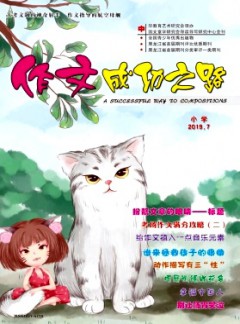 作文成功之路·小学杂志