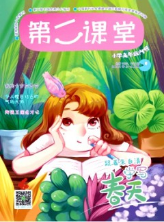 第二课堂(C)杂志