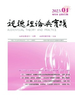 视听理论与实践杂志