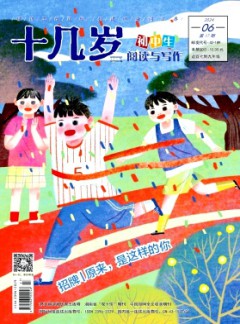 十几岁杂志