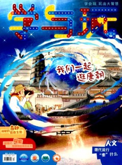 学与玩杂志