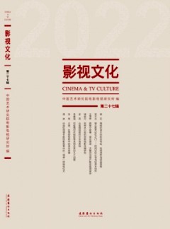影视文化杂志