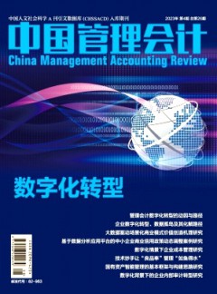 中国管理会计杂志