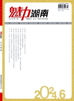 魅力湖南杂志