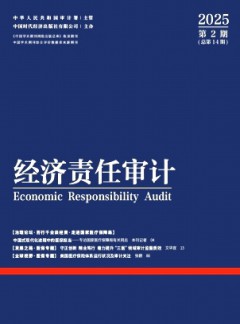 经济责任审计